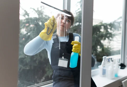 Nettoyage de vitres intérieures et extérieures à Guipy